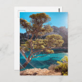 マルセイルフランスのフランス葉書のリビエラの見解 ポストカード (正面/裏面)