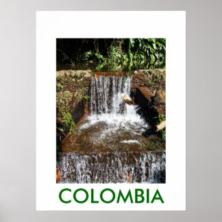 マルセラ・ジャルダン・ボタニコ ポスター