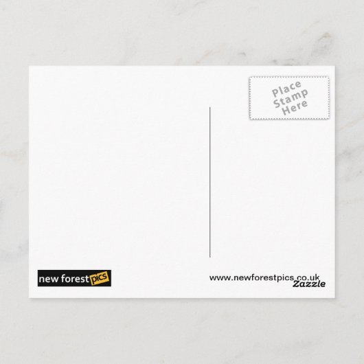 マルタのはがき ポストカード (裏面)