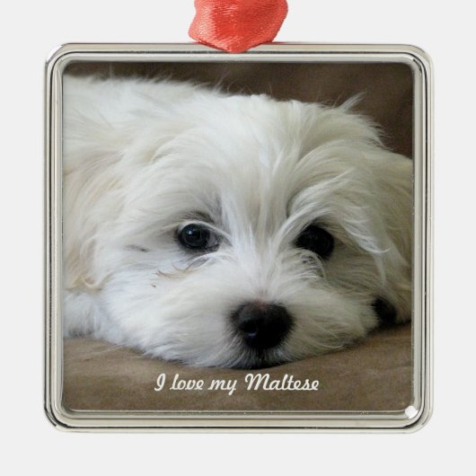 マルタのオーナメント メタルオーナメント (正面)