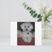 マルタのギフト ポストカード (スタンド正面)