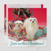 マルタのクリスマスの招待状 招待状 (正面/裏面)