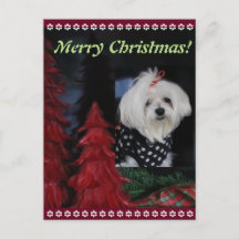 マルタのクリスマス