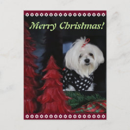 マルタのクリスマス シーズンポストカード