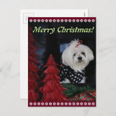 マルタのクリスマス シーズンポストカード (正面/裏面)