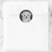 マルタのシール ラウンドシール (バッグ)