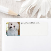 マルタのステッカーラベル ラベル (インサイチュ)