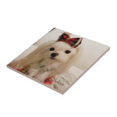 マルタのセラミックタイル タイル (側面)