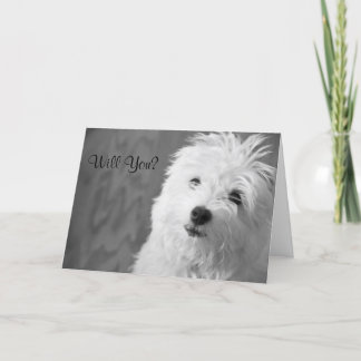 マルタのバレンタインカード シーズンカード