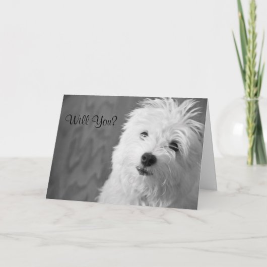 マルタのバレンタインカード シーズンカード (正面)