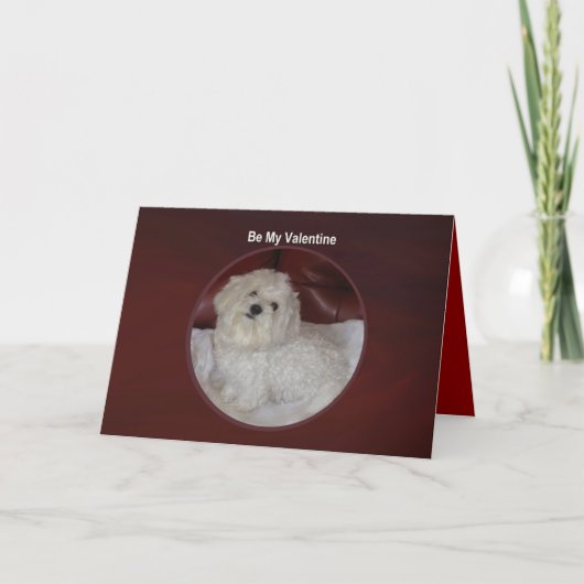 マルタのバレンタイン-私のハートカードがあります シーズンカード (正面)