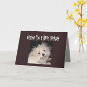 マルタのユーモアの誕生日はだれでもをカードを望みます カード (黄色い花)