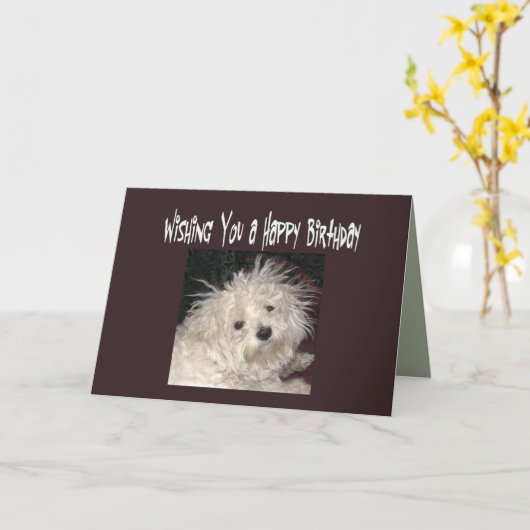 マルタのユーモアの誕生日はだれでもをカードを望みます カード (黄色い花)