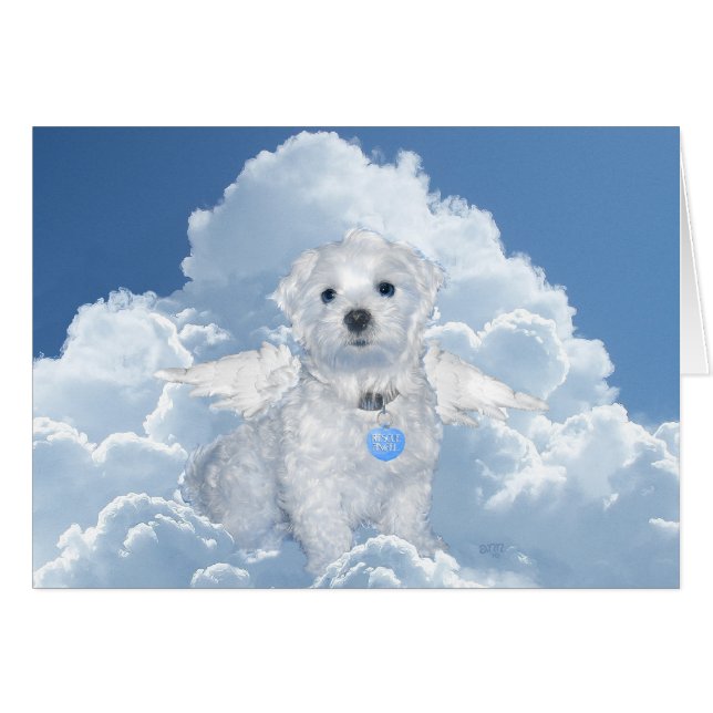 マルタのレスキュエンジェル (正面横)