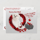 マルタの子犬郵便子犬の抱擁バレンタインを持っています シーズンポストカード (正面/裏面)