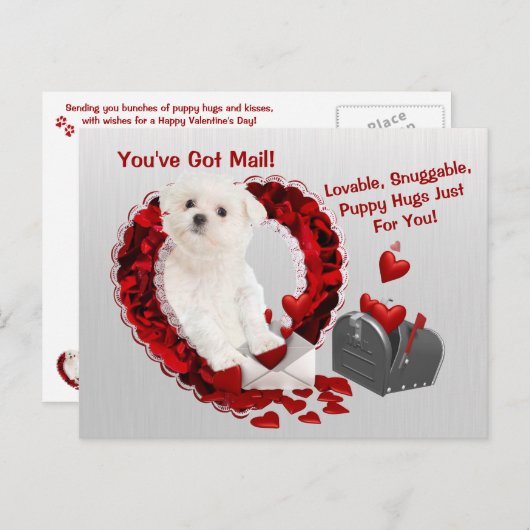 マルタの子犬郵便子犬の抱擁バレンタインを持っています シーズンポストカード (正面/裏面)