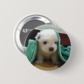 マルタの子犬 缶バッジ (正面&裏面)