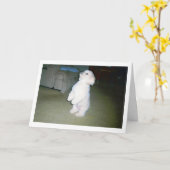 マルタの幸せな父の日カード カード (黄色い花)