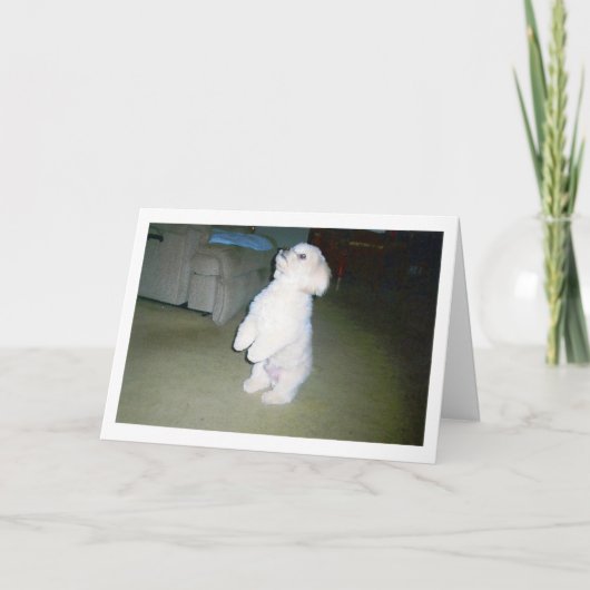 マルタの幸せな父の日カード カード (正面)