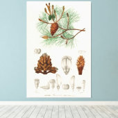 マルタイムパイン（ピヌスマリティマ） キャンバスプリント (インサイチュ (ウッドフロア))