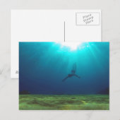 マルタシュノーケル ポストカード (正面/裏面)