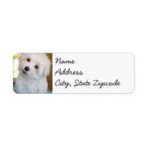 マルタ子犬のステッカーラベル