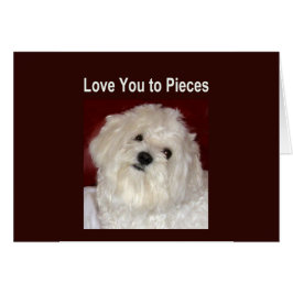 マルタ愛部分カード-中ブランクへの