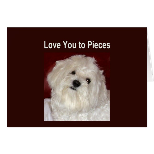 マルタ愛部分カード-中ブランクへの (正面横)