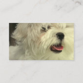 マルタ犬の名刺 名刺 (裏面)