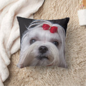マルタ犬の小さく白いトイドッグのクッション クッション (ブランケット)
