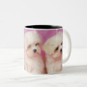 マルタ犬; 白い犬の小さい品種はそれあります ツートーンマグカップ (正面右)