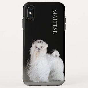 マルタ犬 iPhone XS MAXケース