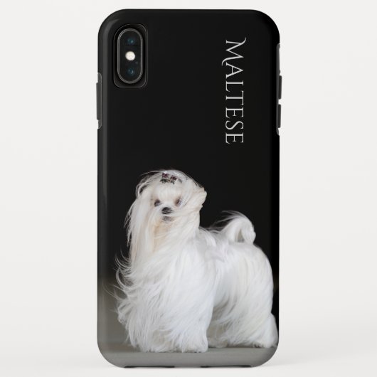 マルタ犬 Case-Mate iPhoneケース (裏面)