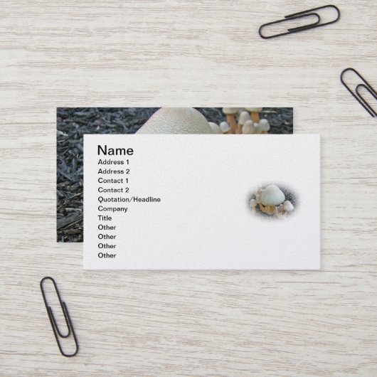 マルチのキノコ類 – ロイコアガリクス・アメリカヌス 名刺 (正面/裏面インサイチュ)