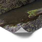 マルチノマ滝 ポスター (角)