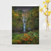 マルチノマ秋 |オレゴン州コロンビア川峡谷 カード (黄色い花)