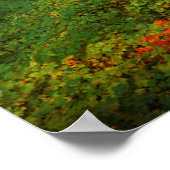 マルチノマ秋 |オレゴン州コロンビア川峡谷 ポスター (角)