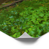 マルチノ滝ウォーターフォートフォトプリント ポスター (角)