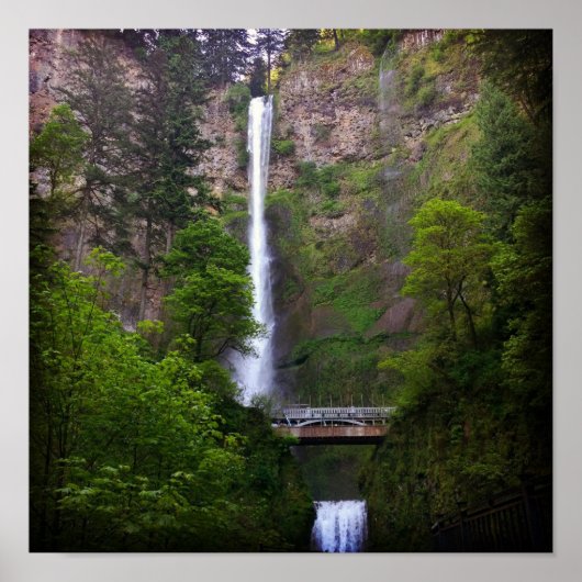 マルチノ滝ブリッジ修復 ポスター (正面)