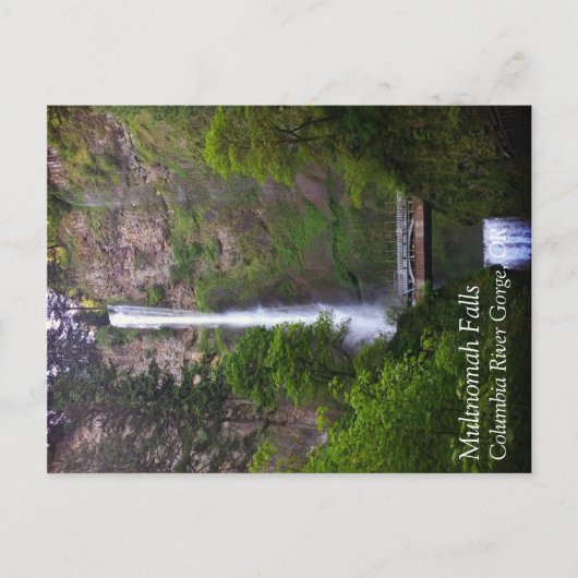マルチノ滝ブリッジ修理,オレゴン ポストカード (正面)