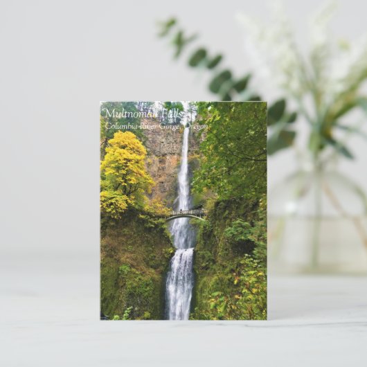 マルチノ滝、コロンビアリバーゲージ、オレゴン州ポスト ポストカード (スタンド正面)