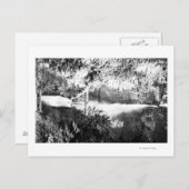 マルチノ滝PhotographColumbia River, OR ポストカード (正面/裏面)