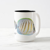 マルチバンドのButterflyfish、Chaetodonのmulticinctus ツートーンマグカップ (正面右)