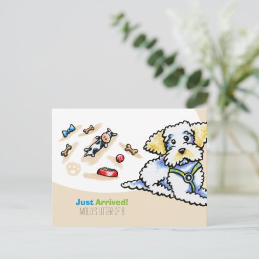 マルチプー雑種新しい子犬の社交性 ポストカード (スタンド正面)