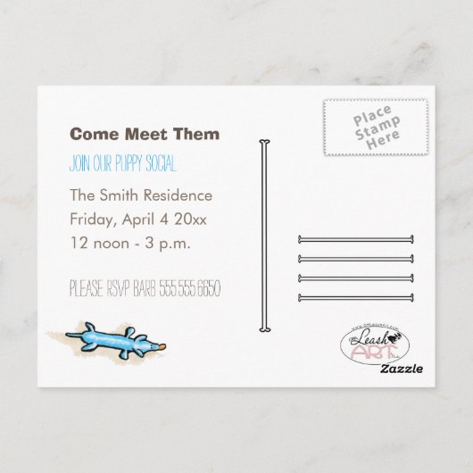 マルチプー雑種新しい子犬の社交性 ポストカード (裏面)