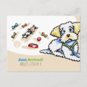 マルチプー雑種新しい子犬の社交性 ポストカード (正面)