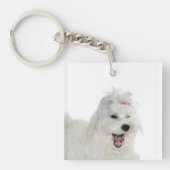 マルチーズかわいいフワフワ白リリ キーホルダー (正面)