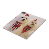 マルチーズが付いているセラミックタイル タイル (側面)