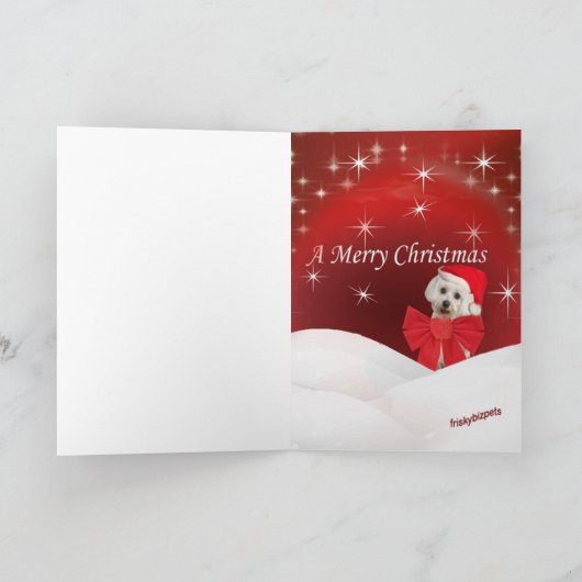 マルチーズと子犬、聖降誕祭お目出とう シーズンカード (内部)
