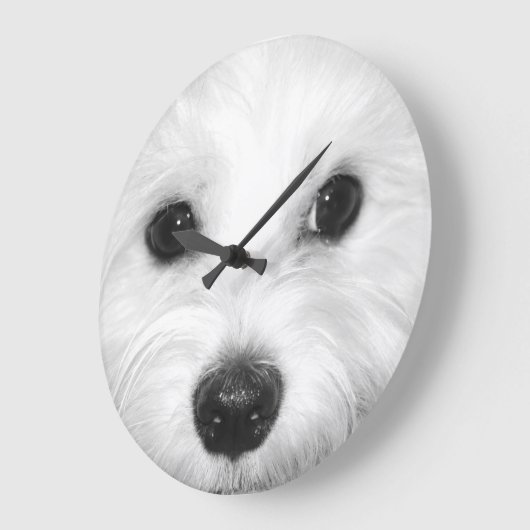 マルチーズと彼魅力的の属性の鼻と目 ラージ壁時計 (傾斜)